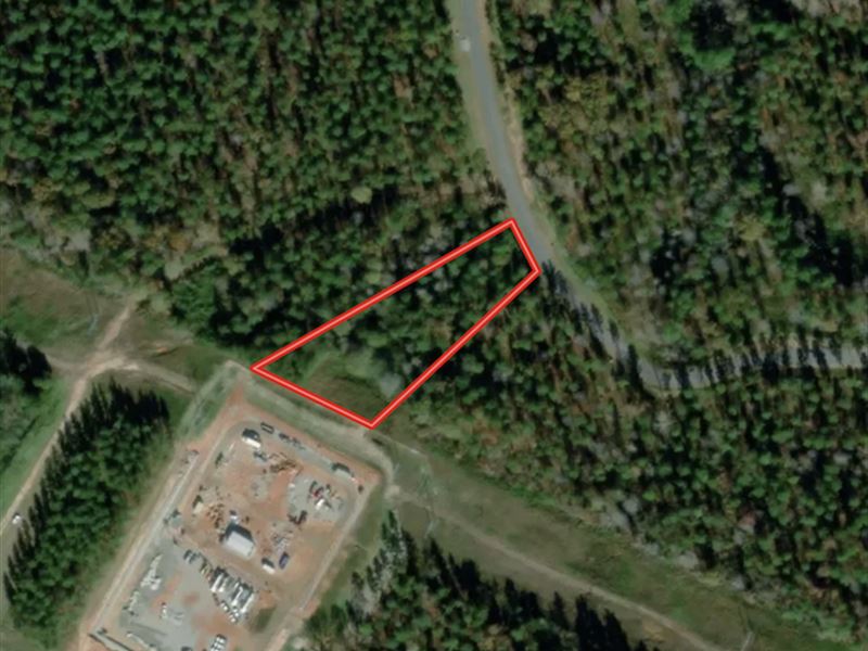 1 Acre Building Lot for Sale in War : Macon : Warren County : North Carolina