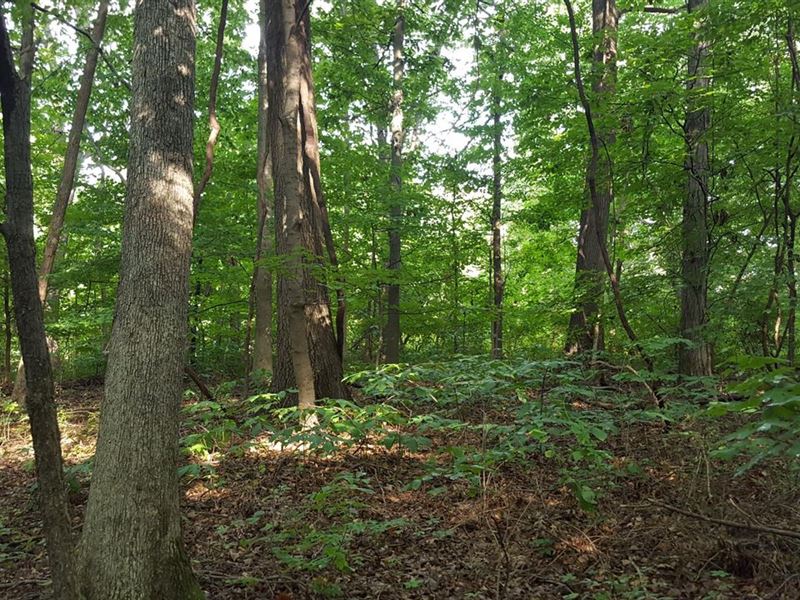 Land for Sale-Watson Place Lot 3 : West Terre Haute : Vigo County : Indiana