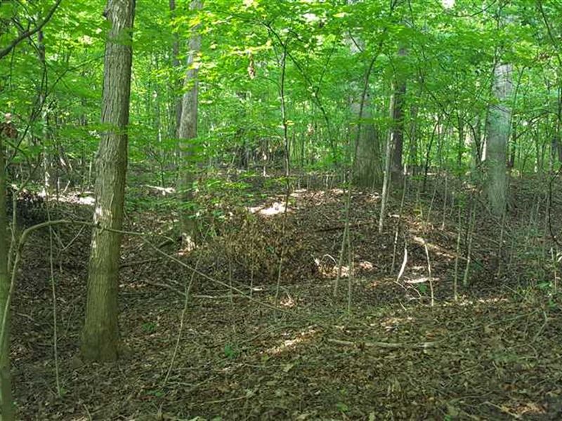 Land for Sale-Watson Place Lot 7 : West Terre Haute : Vigo County : Indiana