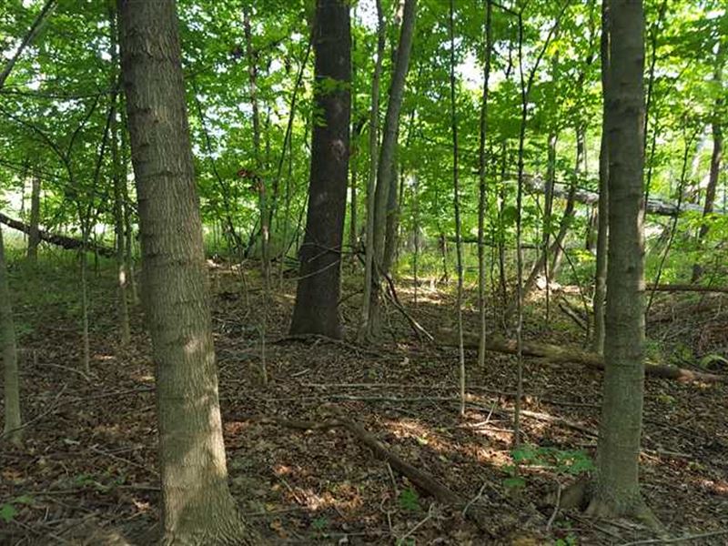 Land for Sale-Watson Place Lot 8 : West Terre Haute : Vigo County : Indiana