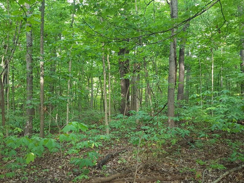 Land for Sale-Watson Place Lot 1 : West Terre Haute : Vigo County : Indiana