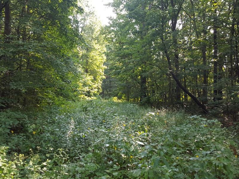 Land for Sale-Watson Place Lot 4 : West Terre Haute : Vigo County : Indiana