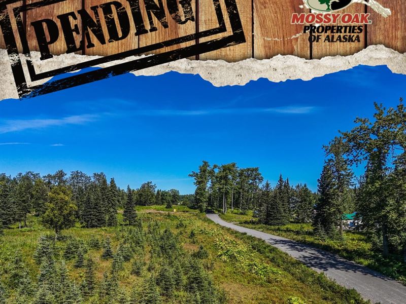 15705 Cecelia St, Ninilchik : Ninilchik : Kenai Peninsula Borough : Alaska