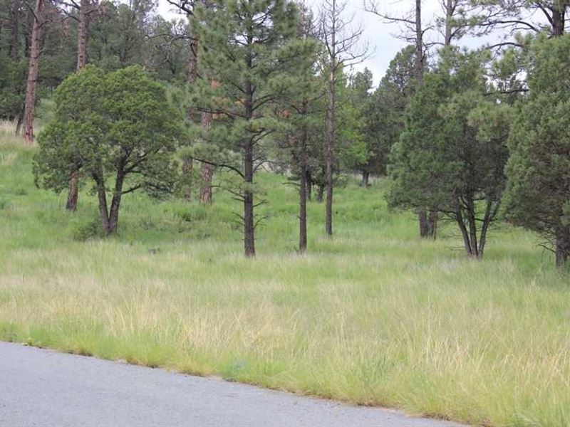 3.223 Acres in The Preserve in Alto : Ruidoso : Lincoln County : New Mexico