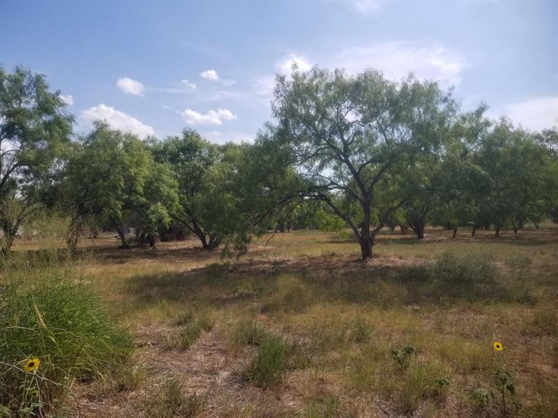 Lot 3 1.92 Acres : Floresville : Wilson County : Texas
