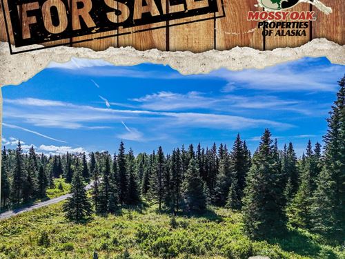 15737 Cecelia Street : Ninilchik : Kenai Peninsula Borough : Alaska