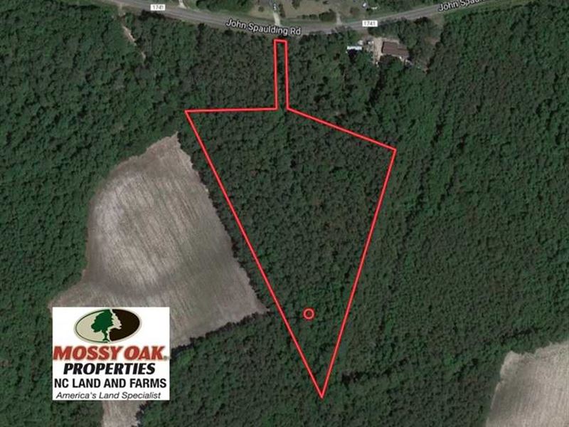5.12 Acres of Hunting and Timber : Whiteville : Columbus County : North Carolina