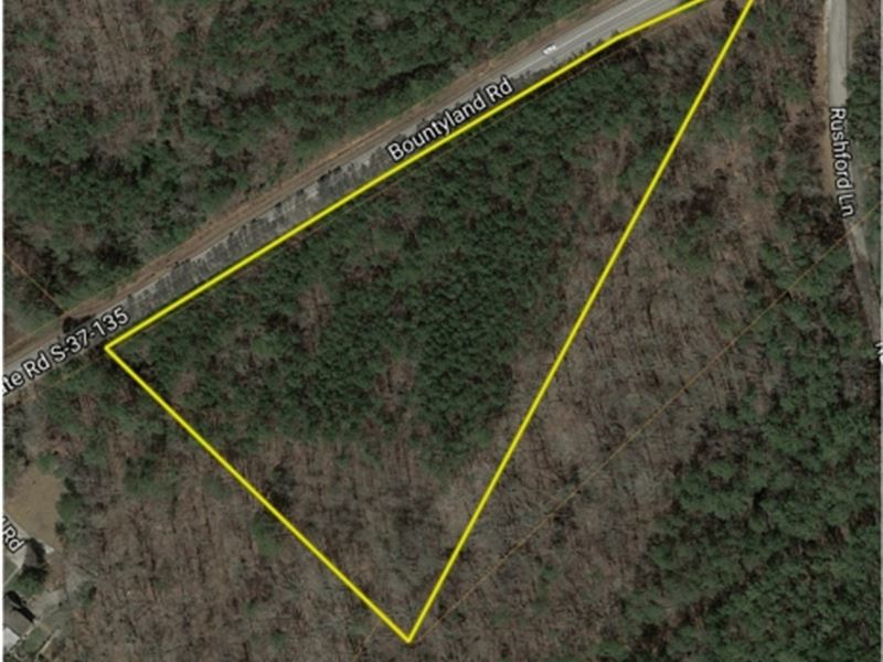 6 Beautiful Wooded Acres Near Clems : Seneca : Oconee County : South Carolina