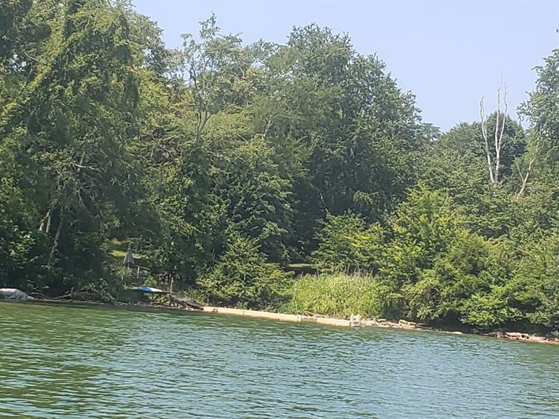Cherokee Lake Front Lot : Mooresburg : Hawkins County : Tennessee