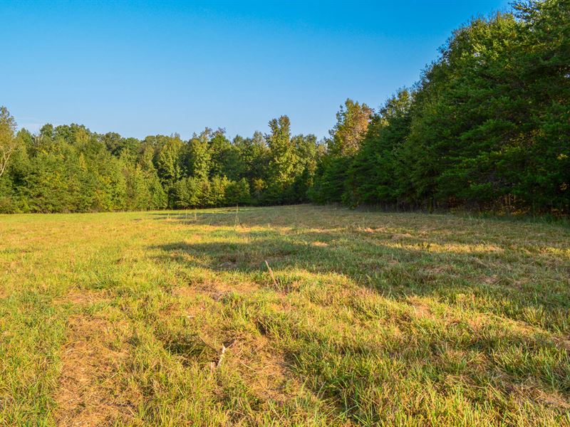 14.64 Acres In Holly Springs : Inman : Spartanburg County : South Carolina