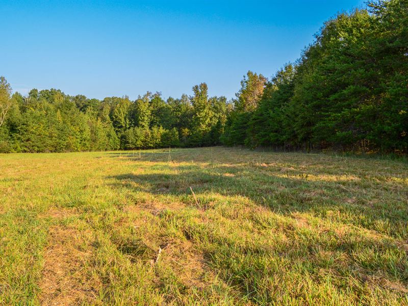 14.64 Acres in Holly Springs : Inman : Spartanburg County : South Carolina