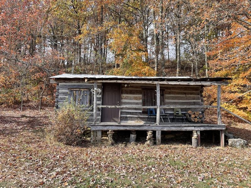 1860 Log Cabin Along Hwy 21 in Newt : Fallsville : Newton County : Arkansas