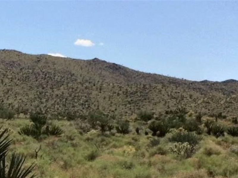 Mohave County, Az $8,000 Neg : Dolan Springs : Mohave County : Arizona
