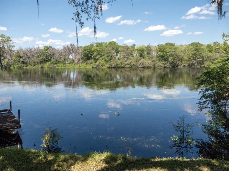 Suwannee Riverfront Getaway : Old Town : Dixie County : Florida