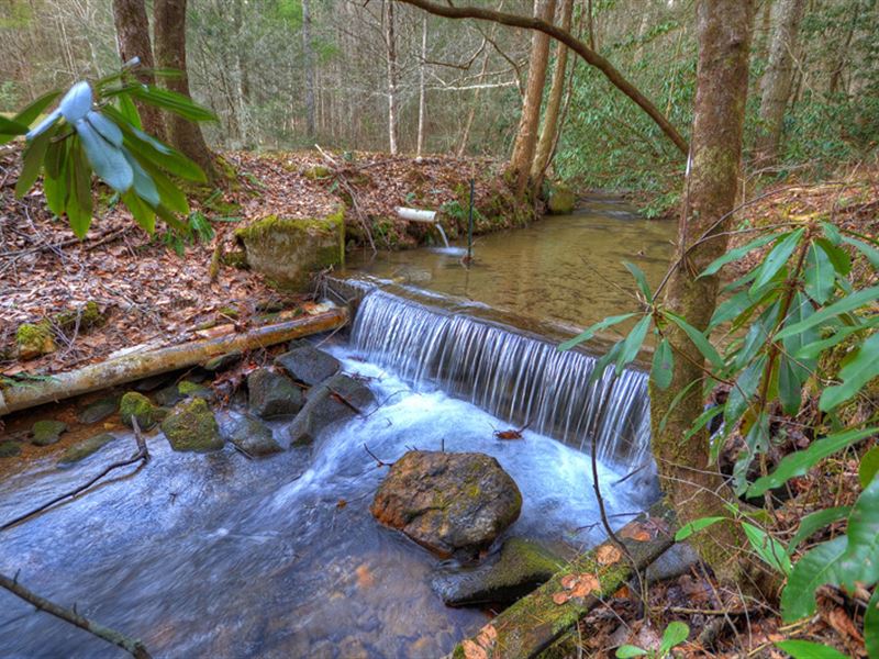 Mountain Trout Stream and Usnf, Lot for Sale in 136916 LOTFLIP