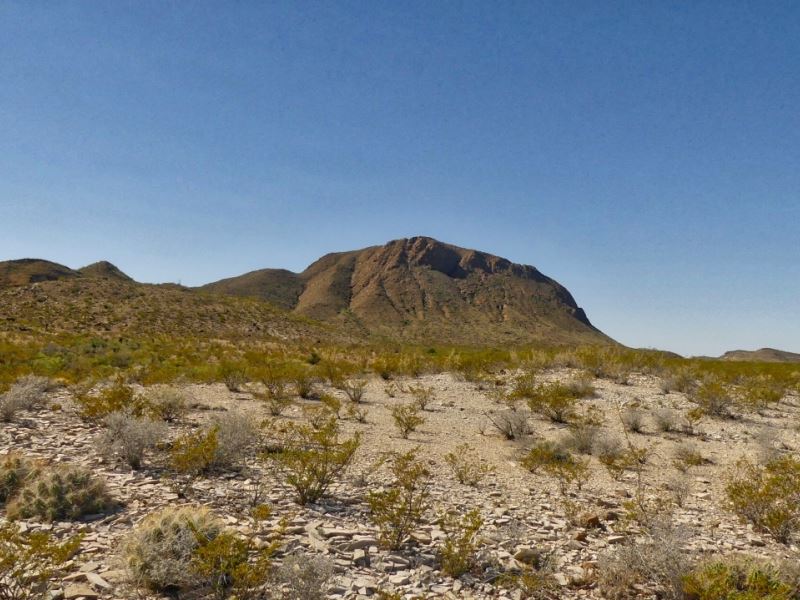 20 Acres in The Foot Hills Of Jack : Terlingua : Brewster County : Texas