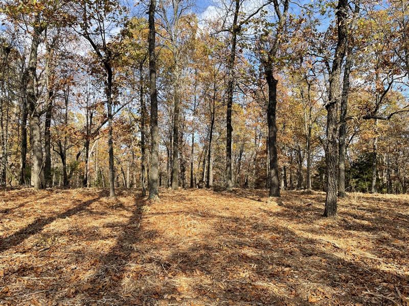 3 Lots Cleared and Ready to Build : Horseshoe Bend : Izard County : Arkansas
