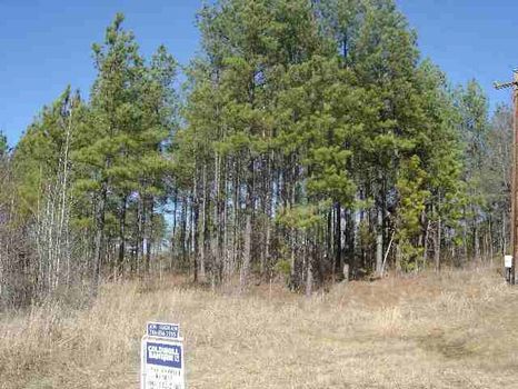 13.02 Acres : Eatonton : Putnam County : Georgia