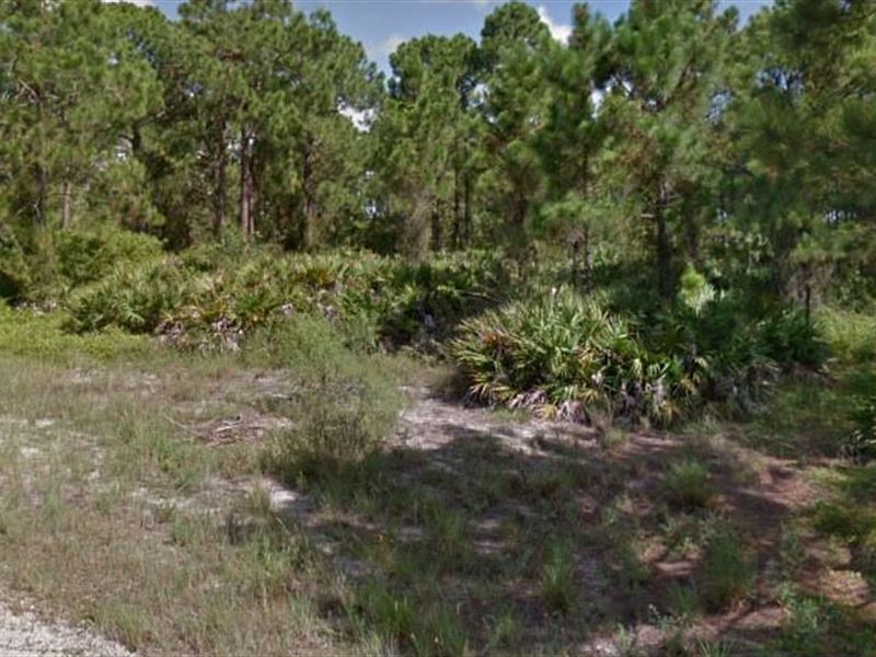 Lee County, Fl $35,000 Neg : Lehigh Acres : Lee County : Florida