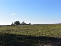 Levee Tract : Crumrod : Desha County : Arkansas