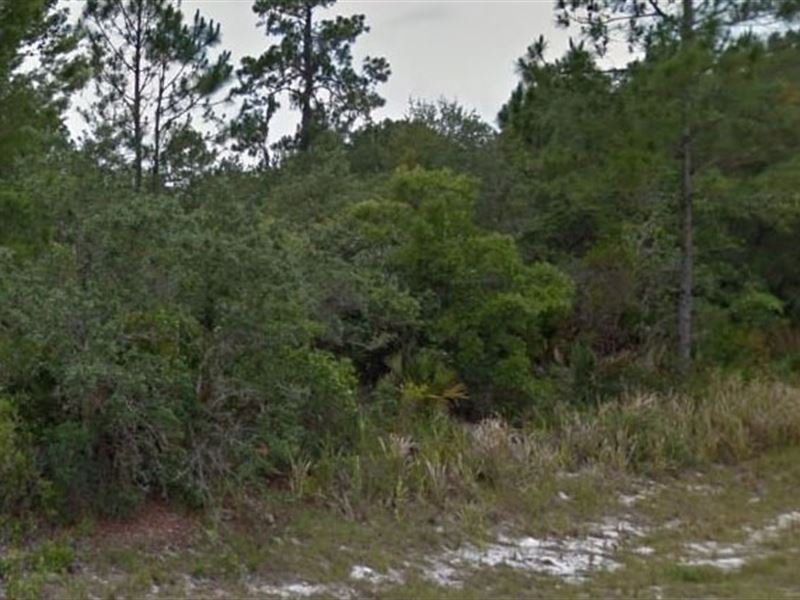 Highlands County, Fl $37,500 Neg : Sebring : Highlands County : Florida