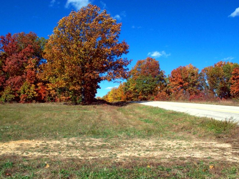 11.2 Acres, 2 Clearings, Hwy Front : Cass : Texas County : Missouri