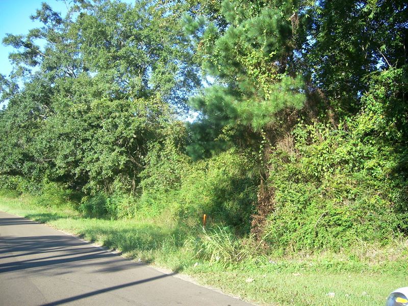 Lot 6 Is 4.00 Acres M/L : Centreville : Wilkinson County : Mississippi