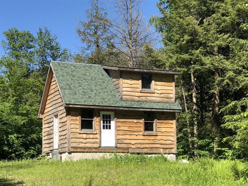Camp Carleton : Camden : Oneida County : New York