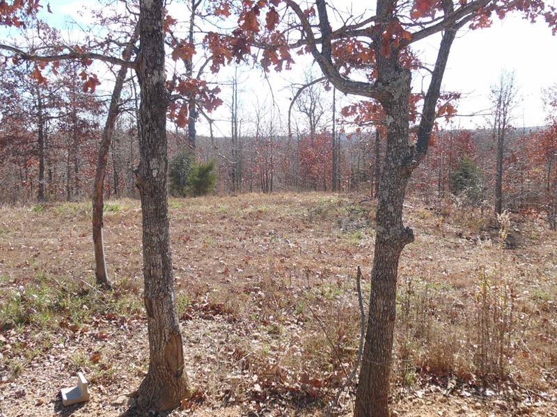 2 Clearings, Pond, and Electric : Cabool : Texas County : Missouri