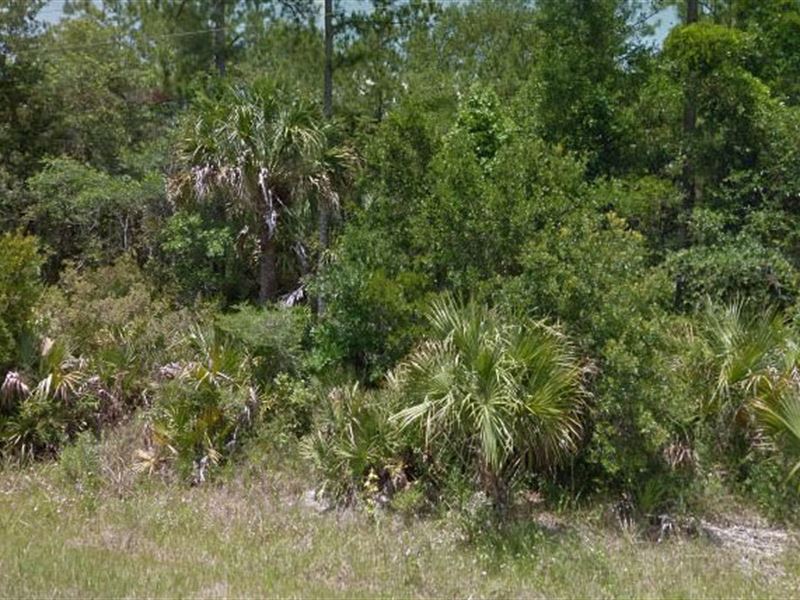 Taylor County, Fl $60,000 Neg : Lamont : Taylor County : Florida
