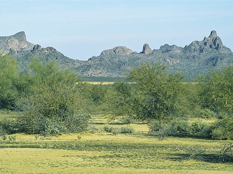 Quiet Desert Retreat : Arizona City : Pinal County : Arizona