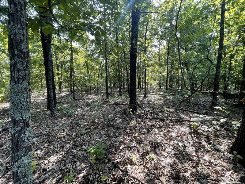 1 Lot in Horseshoe Bend, AR : Horseshoe Bend : Izard County : Arkansas