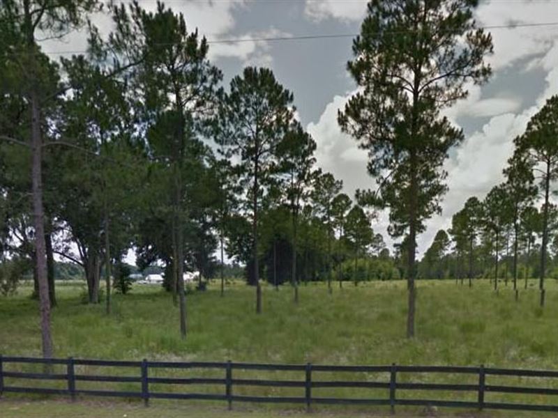 Columbia County, Fl $190,000 Neg : High Springs : Columbia County : Florida