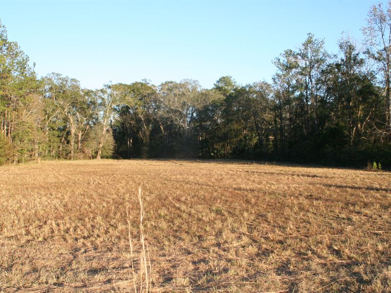 2.15 Acres, Commercial : Callahan : Nassau County : Florida