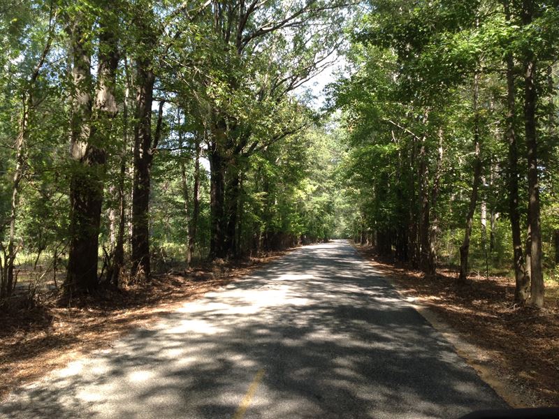 3-014 Line Creek Plantation 6.28 : Pike Road : Montgomery County : Alabama