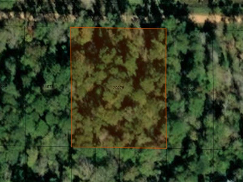 Big Thicket Lake Estates, 1.14 Acr : Livingston : Polk County : Texas
