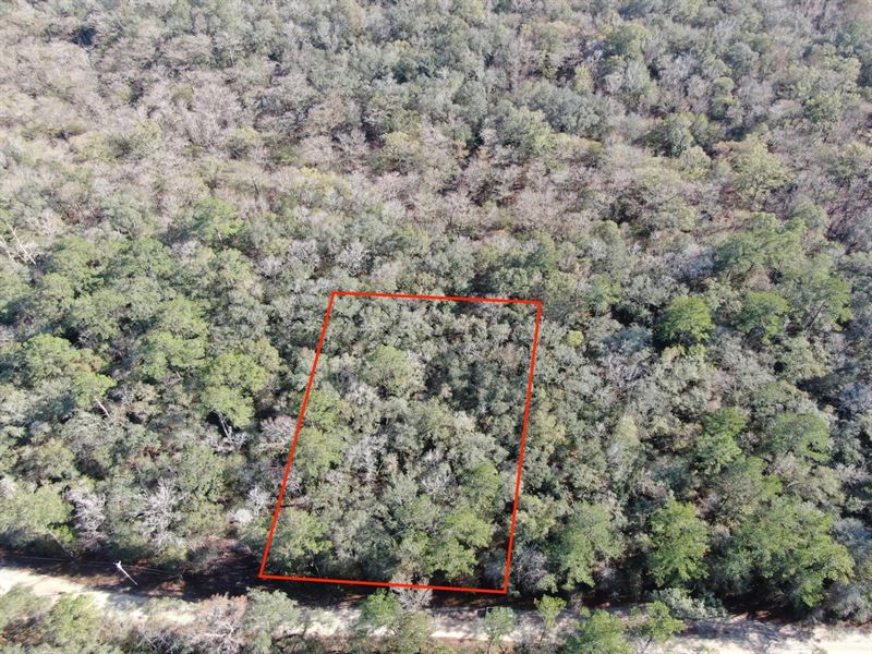 1.22 Acre Lot Near The Historic Suw : Branford : Lafayette County : Florida