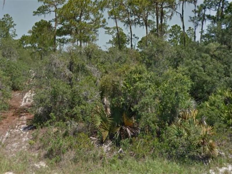Highlands County, Fl $17,000 Neg : Lake Placid : Highlands County : Florida