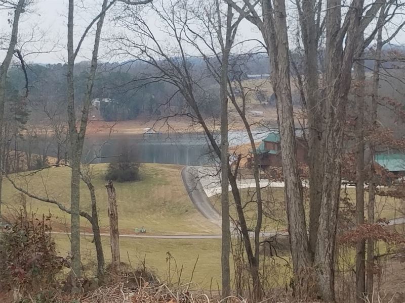 Cherokee Lake View Building Lot : Rutledge : Grainger County : Tennessee