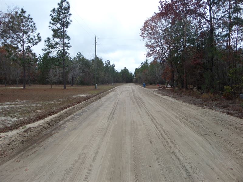 Linden and Bluff Rd Tracts : Jesup : Wayne County : Georgia