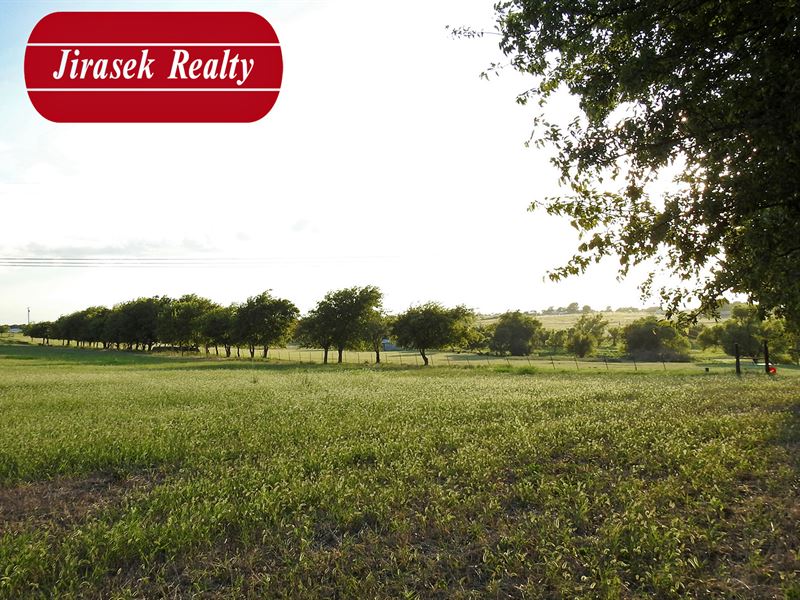 12.223 Ac, Franklin Rd, Troy : Troy : Bell County : Texas