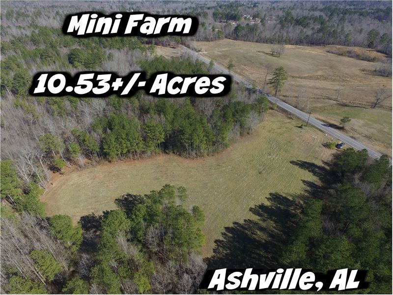 Mini Farm Opportunity : Ashville : Saint Clair County : Alabama