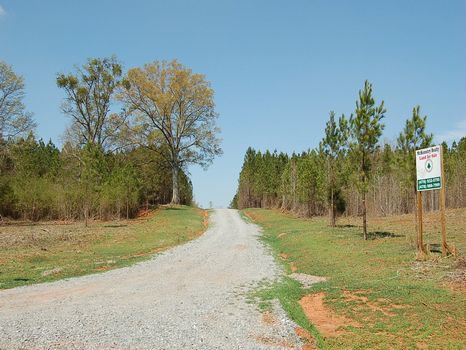 5 Acre Mini Farm, Deer, Turkey : Gray : Jones County : Georgia