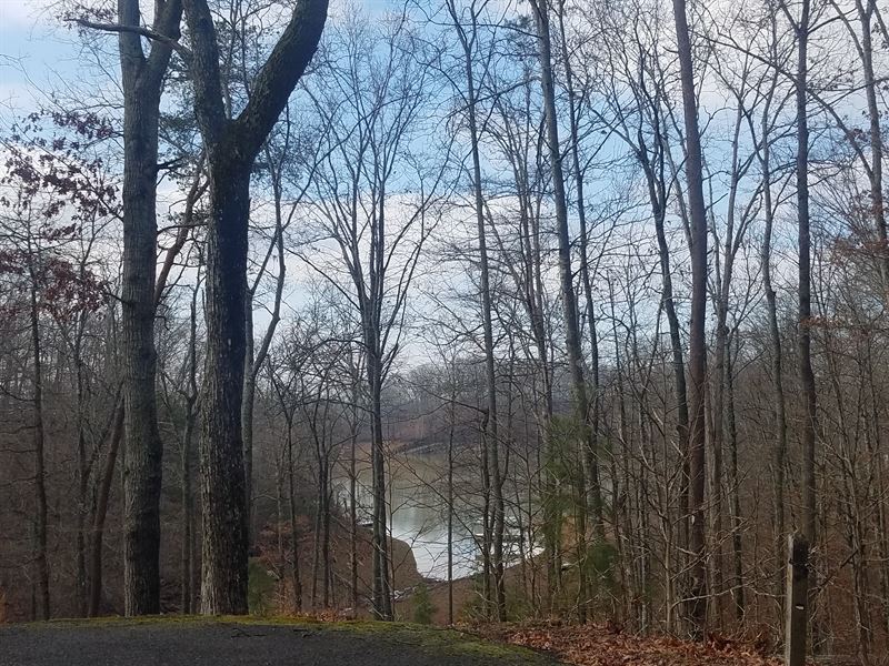 Cherokee Lake View Lot, Access : Mooresburg : Hawkins County : Tennessee