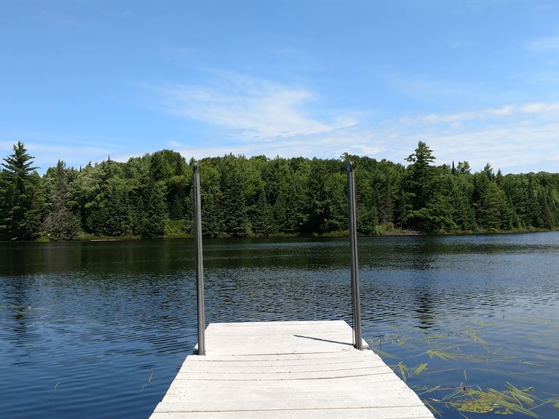 Beautiful Lot On Mud Lake : Presque Isle : Vilas County : Wisconsin