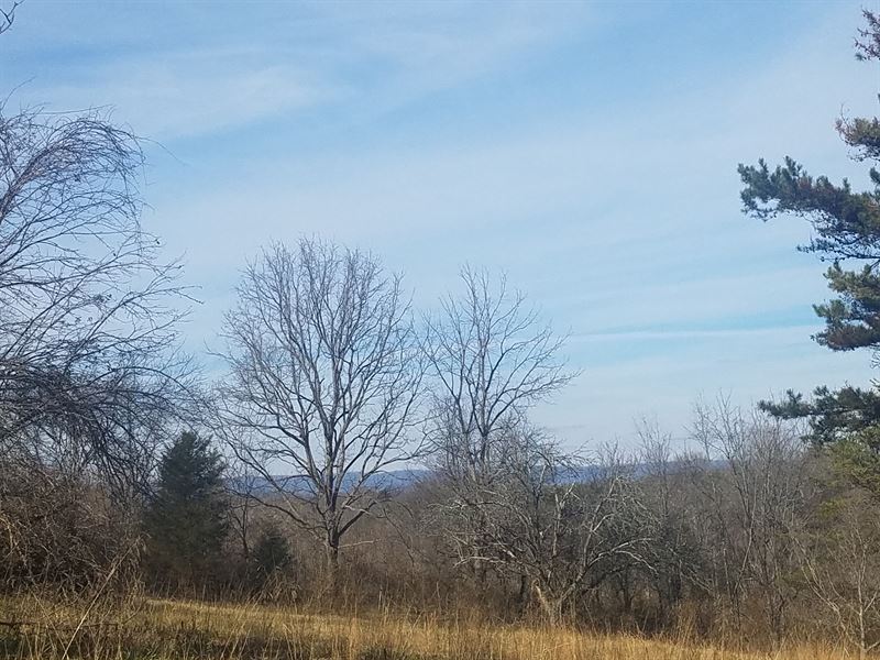 Single Or Multi-Family Building Lot : Morristown : Hamblen County : Tennessee