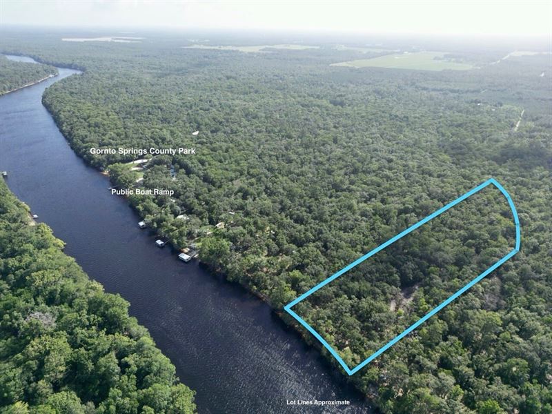 Suwannee River Dreams : Old Town : Dixie County : Florida