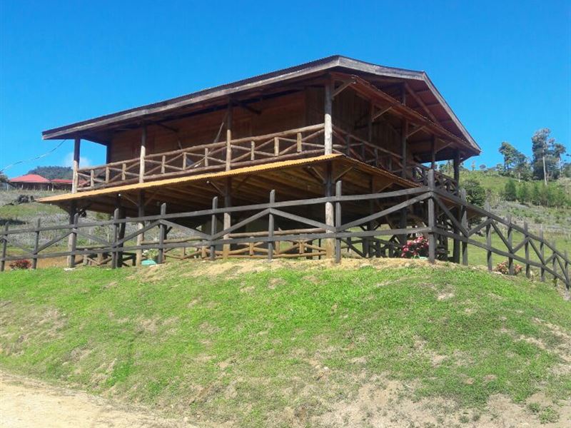 7+ Acres, High Mt. Cabin and Farm : Pejibaye : Costa Rica