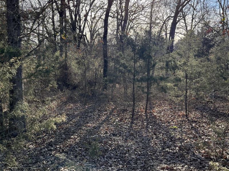 Chapel Acres Hideaway : Greenwood : Sebastian County : Arkansas