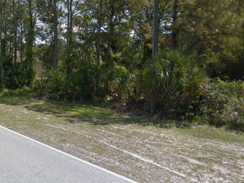 .25 Acres in North Port, FL : North Port : Sarasota County : Florida